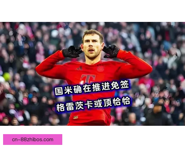 格雷茨卡或投勒沃库森内幕评估